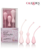 Kegel Seti