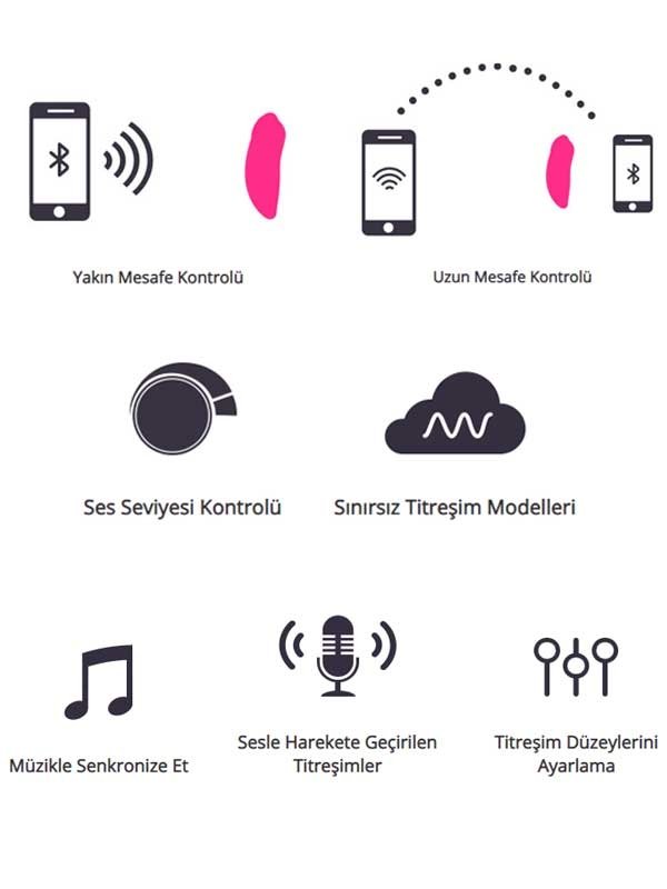 Ferri App Controlled