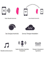Ferri App Controlled