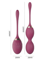 Kegel Ball